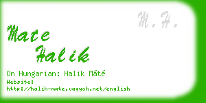 mate halik business card